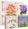 Flowers Framed Paint by Numbers for Adults - 4Pack Landscape Paint by Numbers, Painting by Numbers Kits on Canvas, DIY Oil Painting Acrylic with All Tools for Home Decor 8x8in